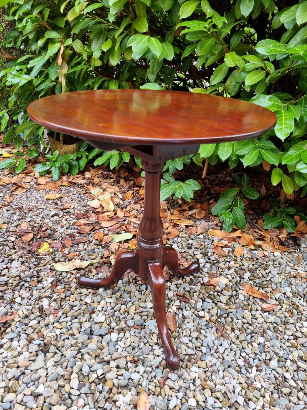 georgian mahogany birdcage tripod occasional table