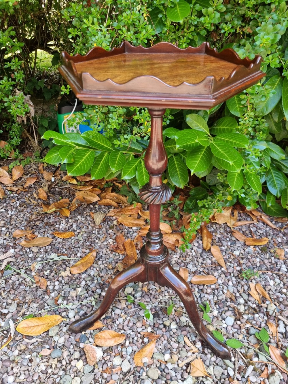 georgian mahogany kettletea stand in original condition
