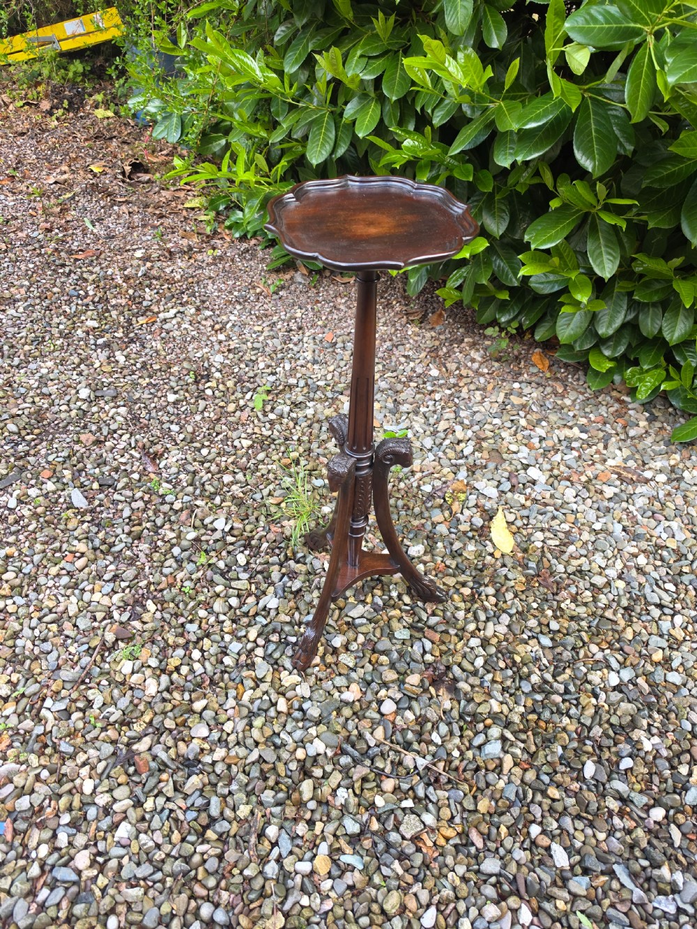 a superb rams head mahogany tall stand